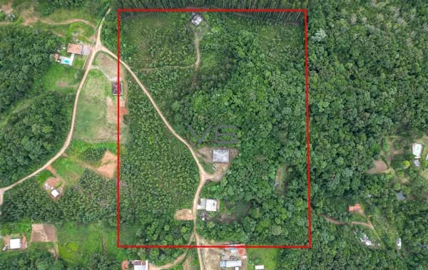 Chácara de 43 mil m² em Quitandinha, a 47 km de Curitiba: Refúgio na Natureza.