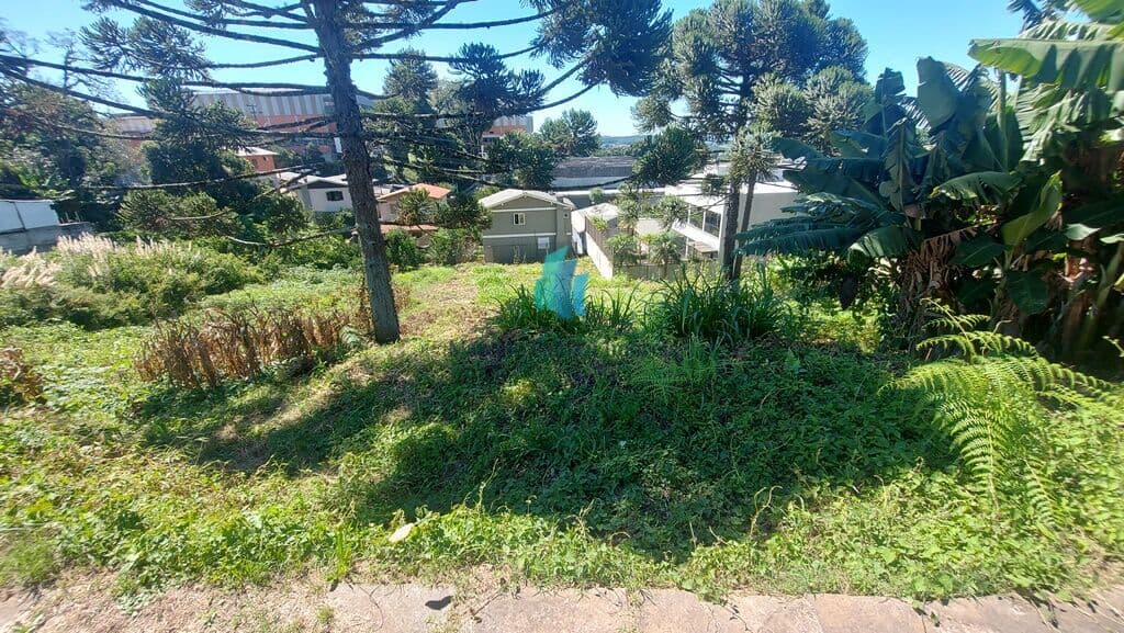 Lote/Terreno em Bento Gonçalves - Santo Antão