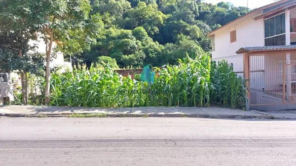 Lote/Terreno em Bento Gonçalves - Fátima