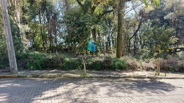 Lote/Terreno em Bento Gonçalves - Borgo