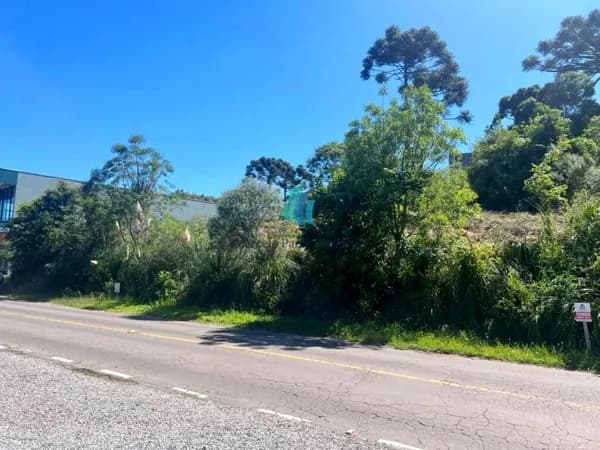 Lote/Terreno em Bento Gonçalves - São Valentin