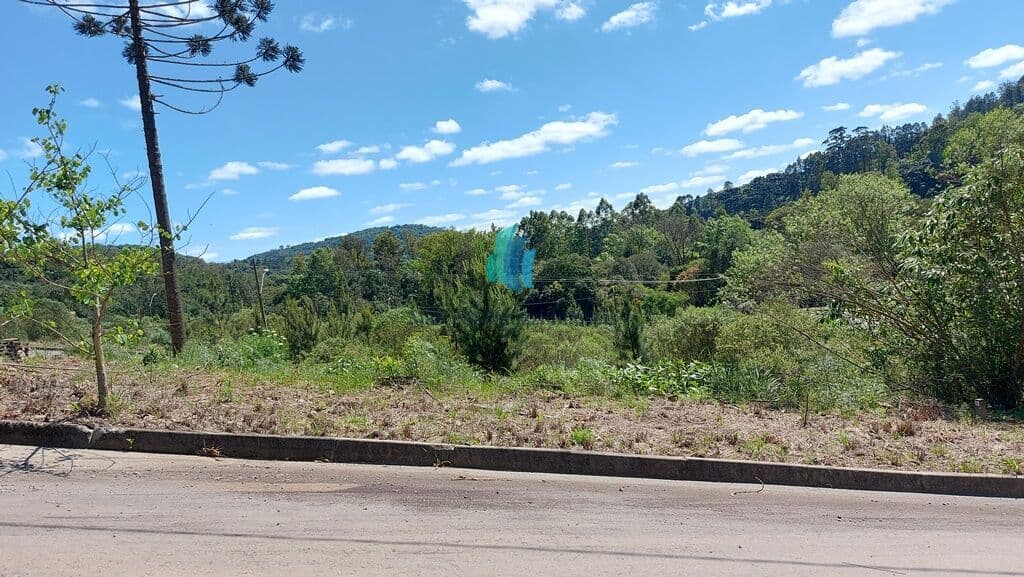 Lote/Terreno em Bento Gonçalves - Cruzeiro