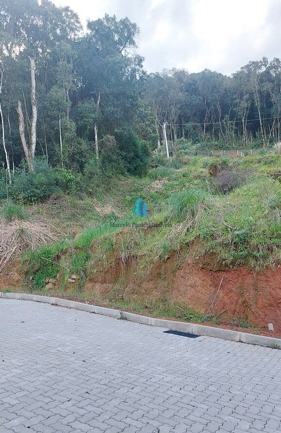 Terreno em Loteamento Fechado