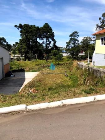 Lote/Terreno em Garibaldi - Alfândega