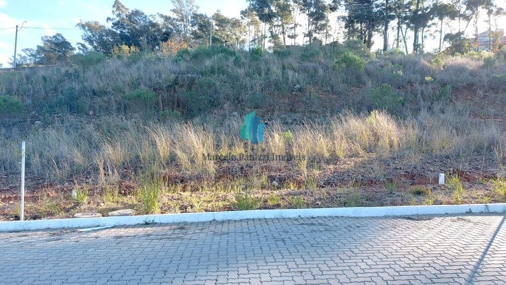 Lote/Terreno em Bento Gonçalves - Eulalia