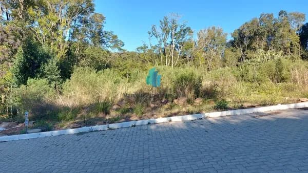 Lote/Terreno em Bento Gonçalves - Eulalia