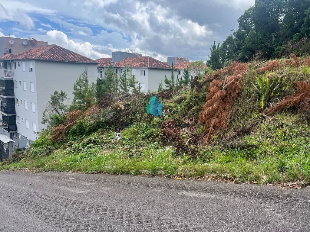 Lote/Terreno em Bento Gonçalves - São Roque