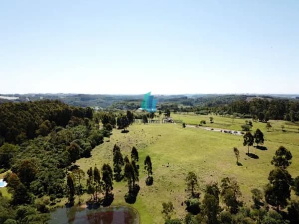 Fazenda/Sítios/Chácaras em Farroupilha - Nova Sardenha