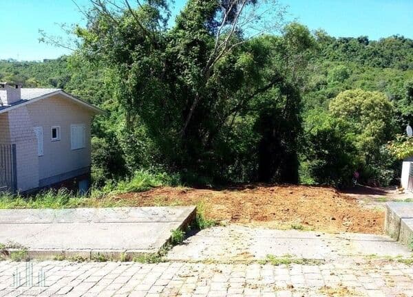 Terreno