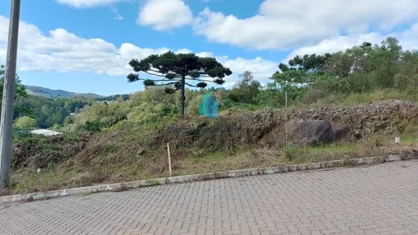 Lote/Terreno em Bento Gonçalves - Barracão