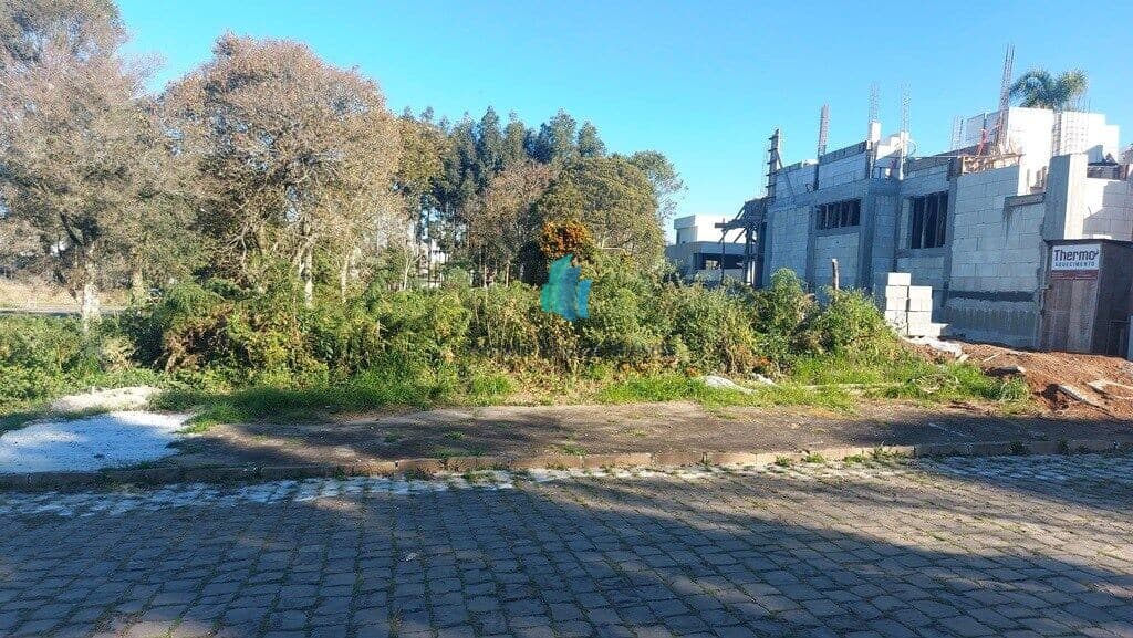 Terreno