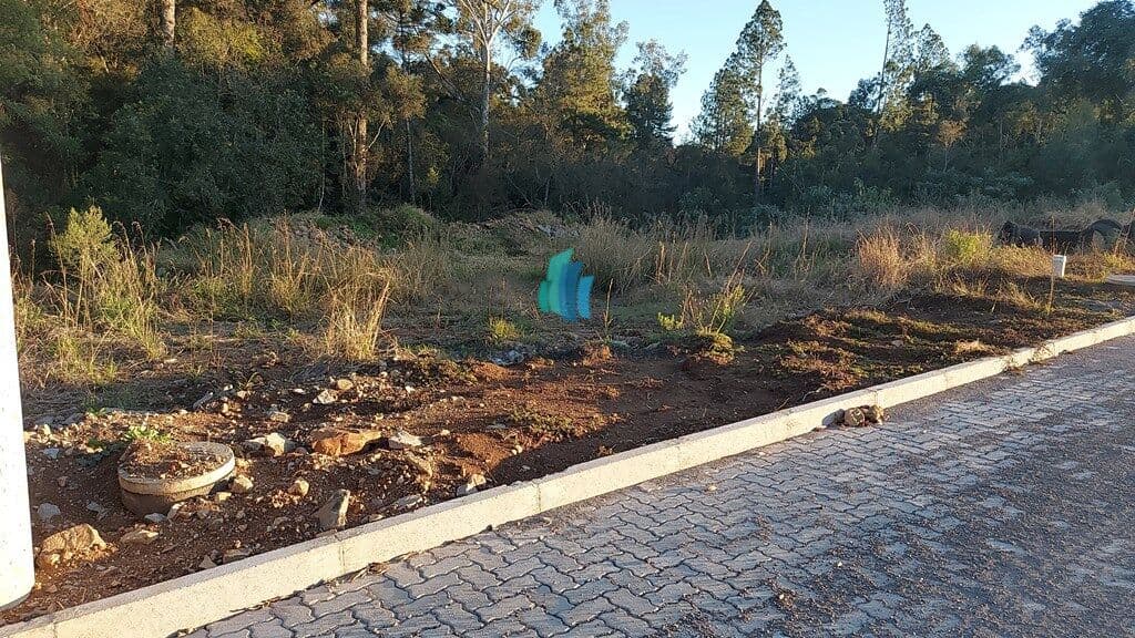 Lote/Terreno em Bento Gonçalves - Santo Antão