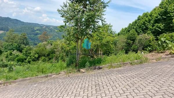 Lote/Terreno em Bento Gonçalves - Vila Nova II