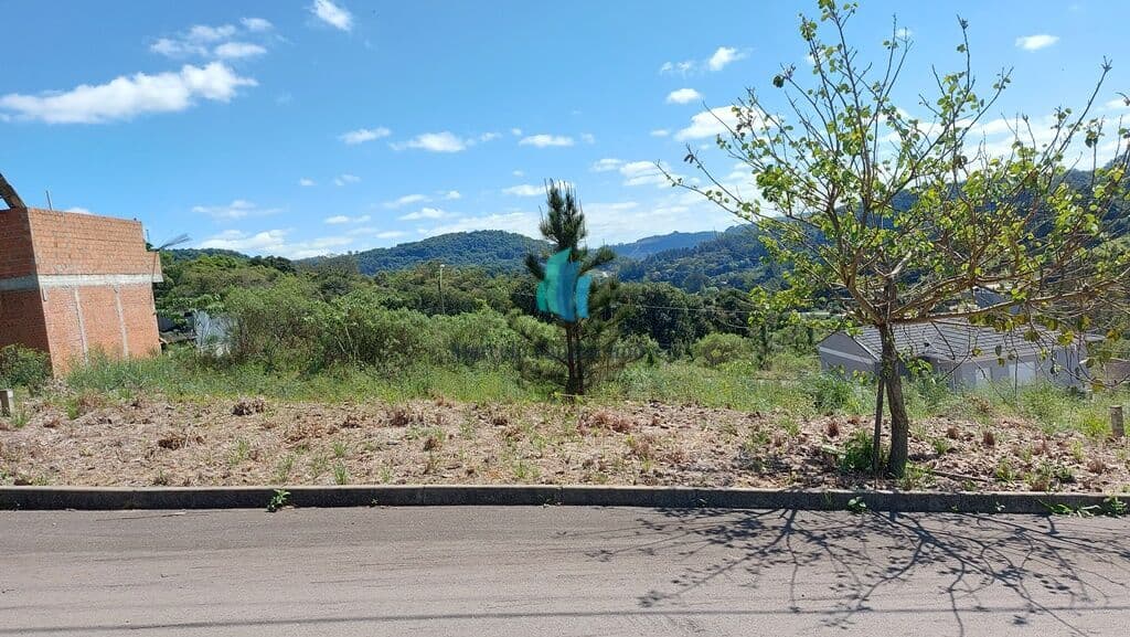 Lote/Terreno em Bento Gonçalves - Cruzeiro