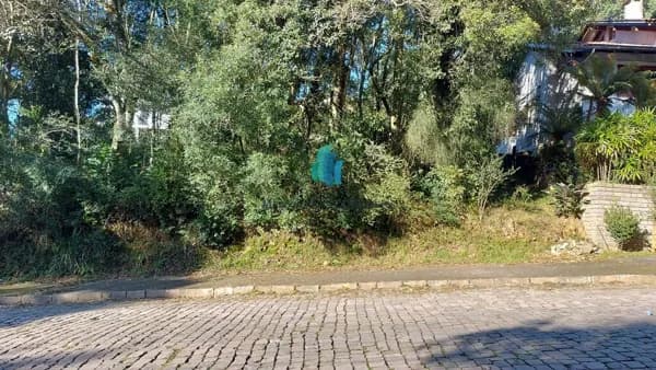 Lote/Terreno em Bento Gonçalves - Imigrante