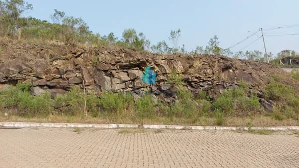 Lote/Terreno em Bento Gonçalves - Barracão