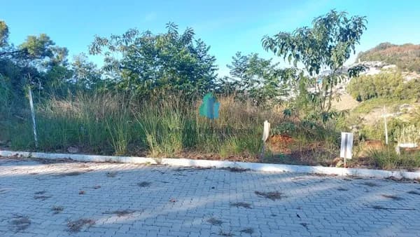 Lote/Terreno em Bento Gonçalves - Eulalia