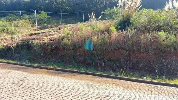 Terreno em Loteamento Fechado