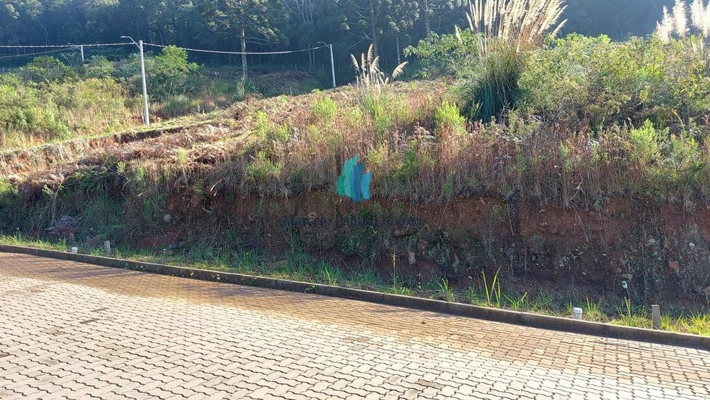 Terreno em Loteamento Fechado