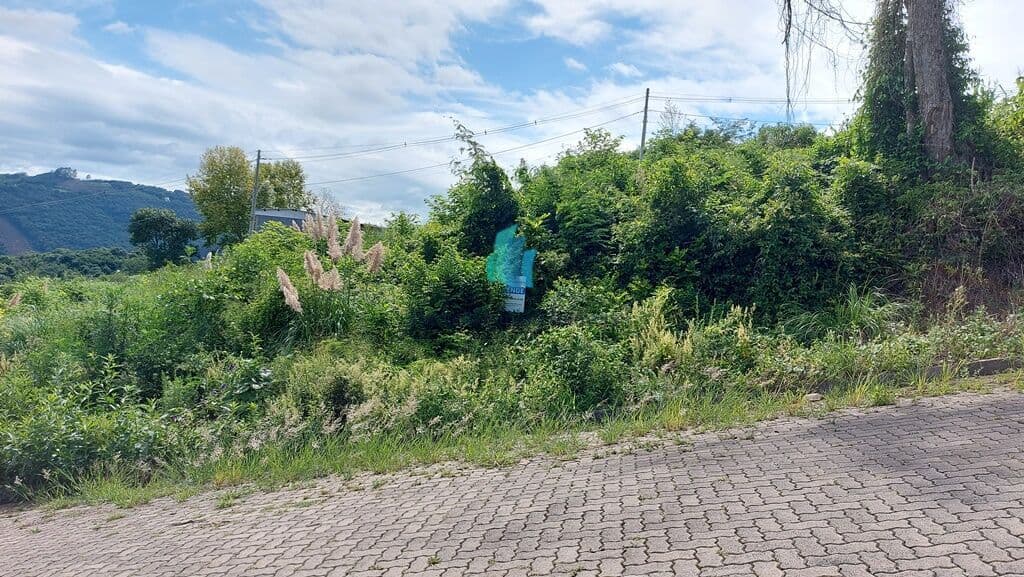 Lote/Terreno em Bento Gonçalves - Vila Nova II