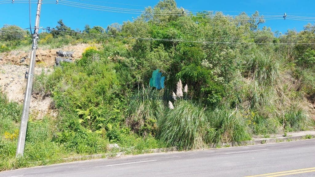 Lote/Terreno em Bento Gonçalves - Fátima