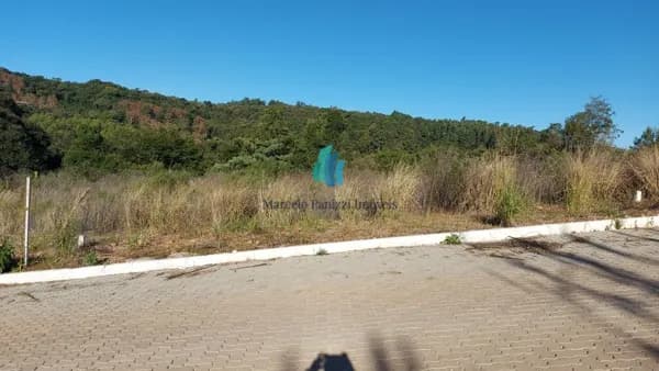 Lote/Terreno em Bento Gonçalves - Eulalia