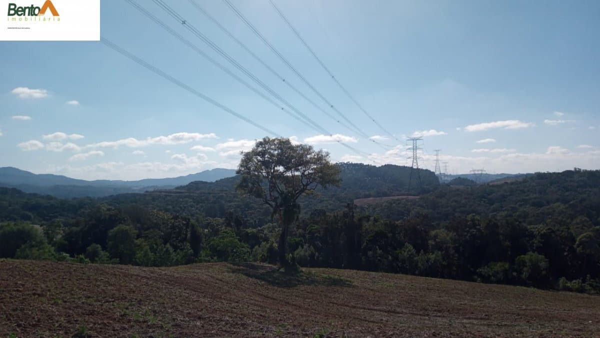 Área Rural para Venda em Rondinha Campo Largo-PR
