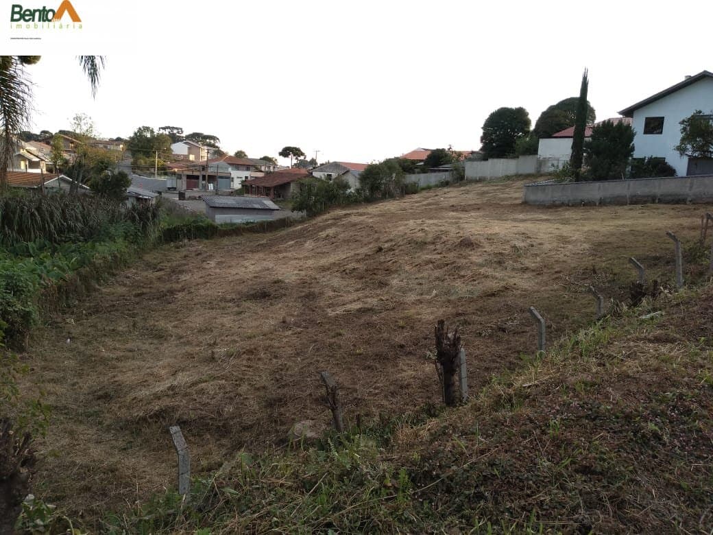 Terreno Lote para Venda em Centro Campo Largo-PR