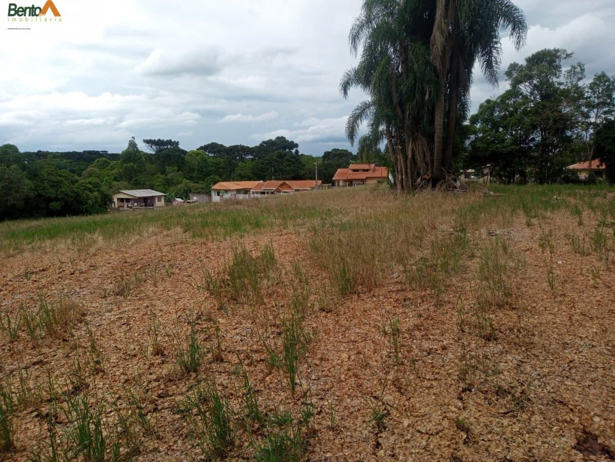 Área Rural para Venda em Rondinha Campo Largo-PR