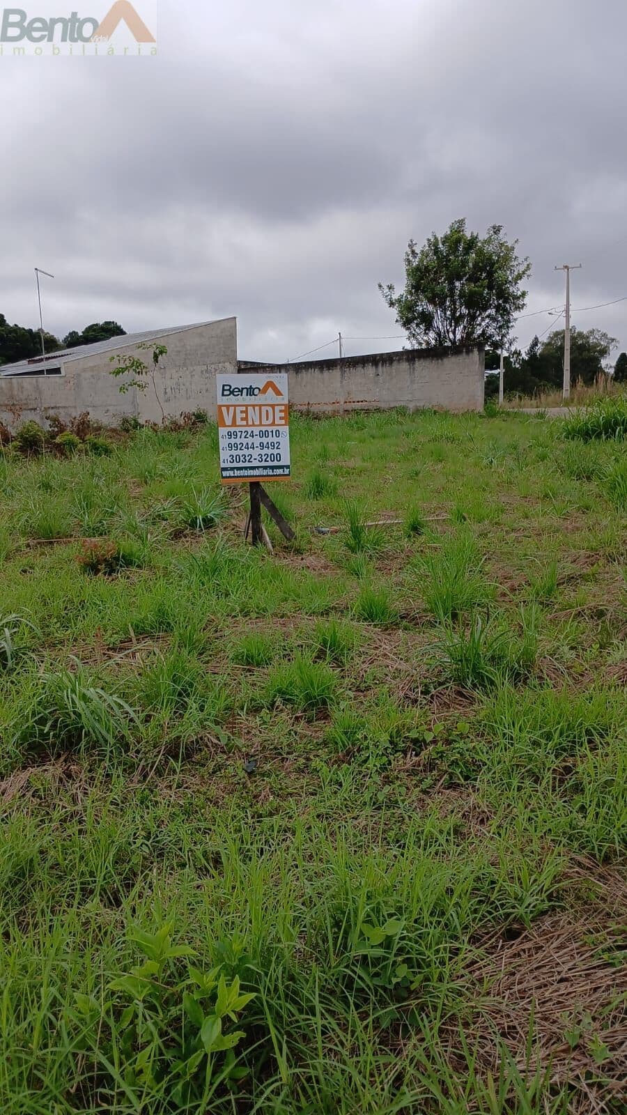 Terreno Lote em Jardim Lise, Campo Largo/PR