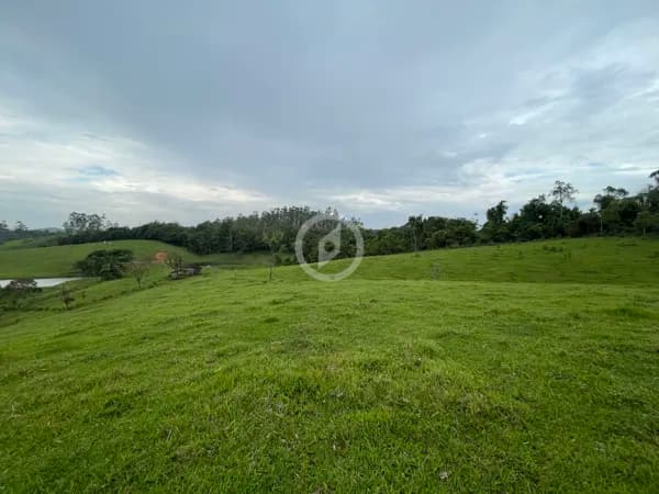 Terreno com pastagem de ampla metragem