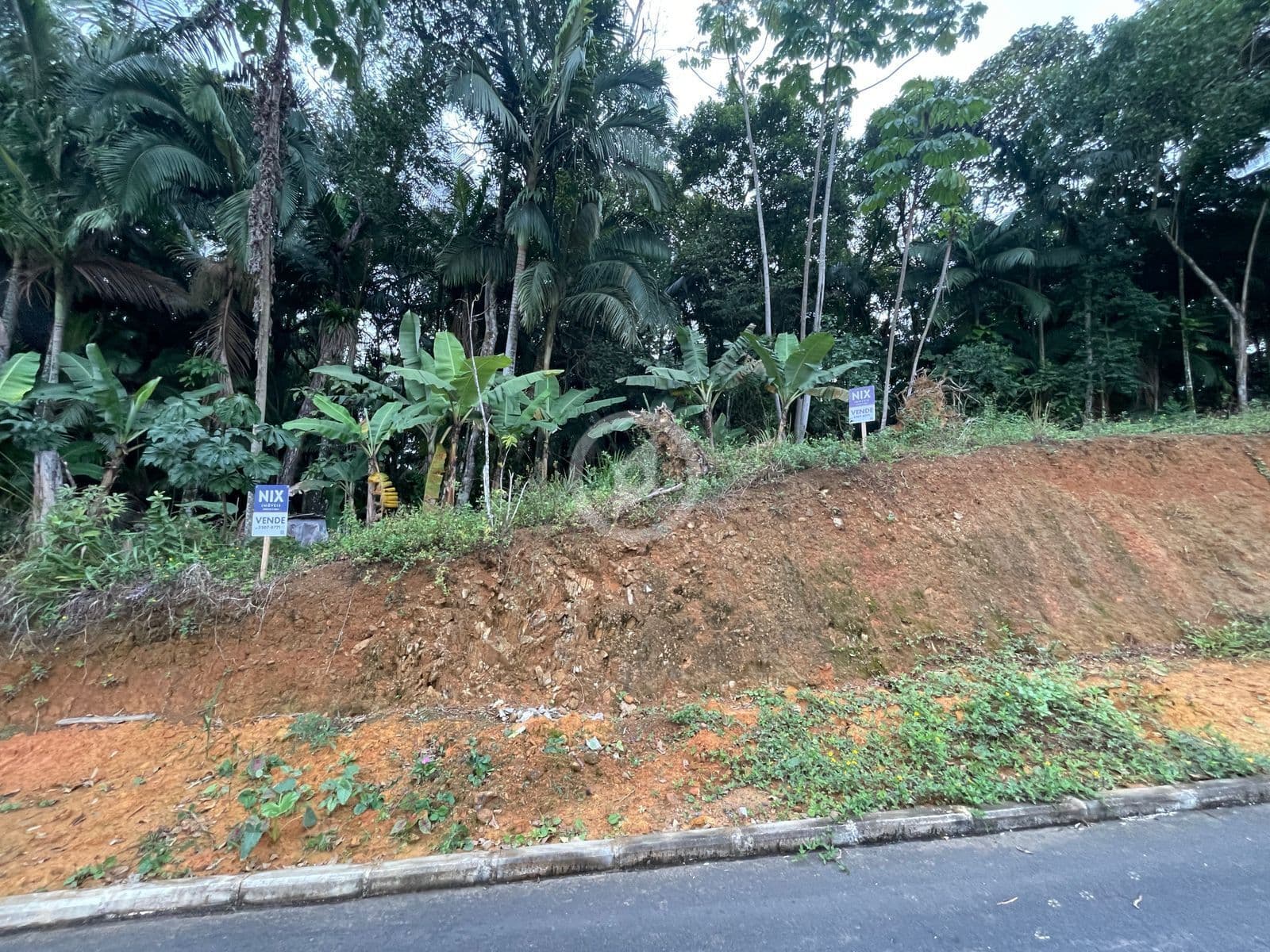Terreno com ampla metragem proximo ao centro da cidade!