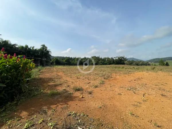 Terreno com ampla metragem