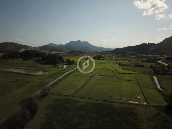 Lote/Terreno em Guaramirim - Caixa d'Água