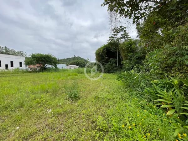 Terreno de ampla metragem proximo a Rodovia BR 280