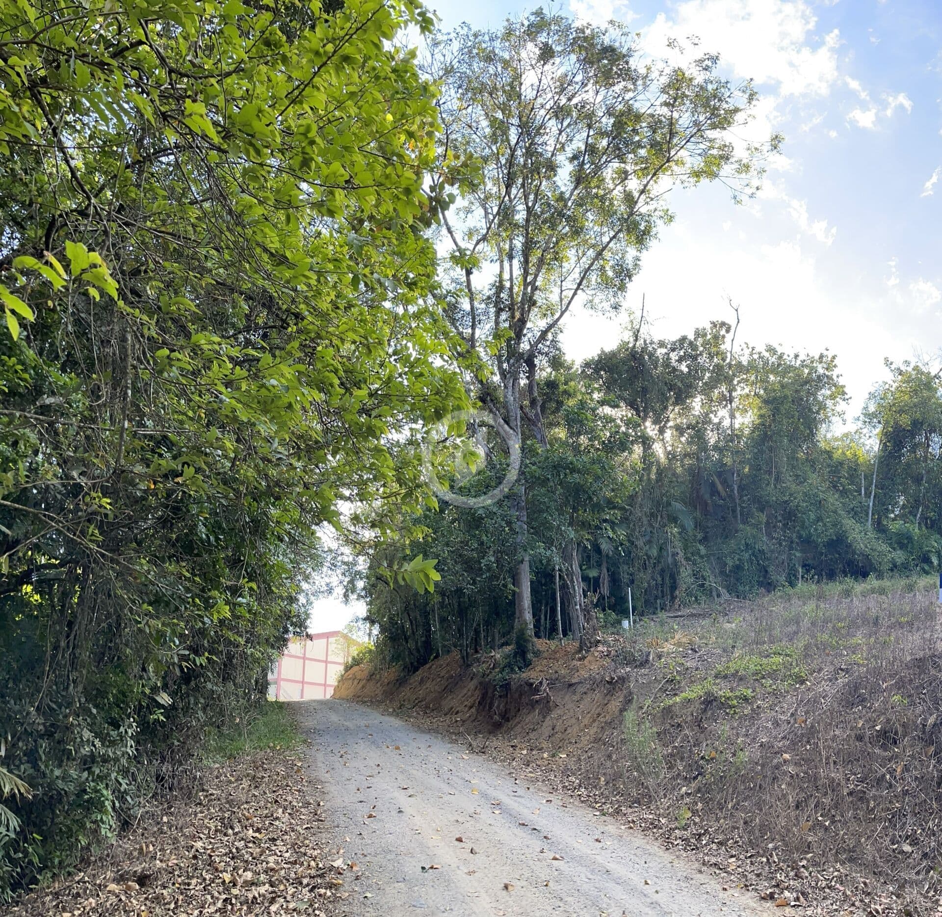 Lote/Terreno em Guaramirim - Rio Branco