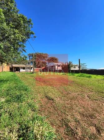 Lote/Terreno em Santo Ângelo - Pippi