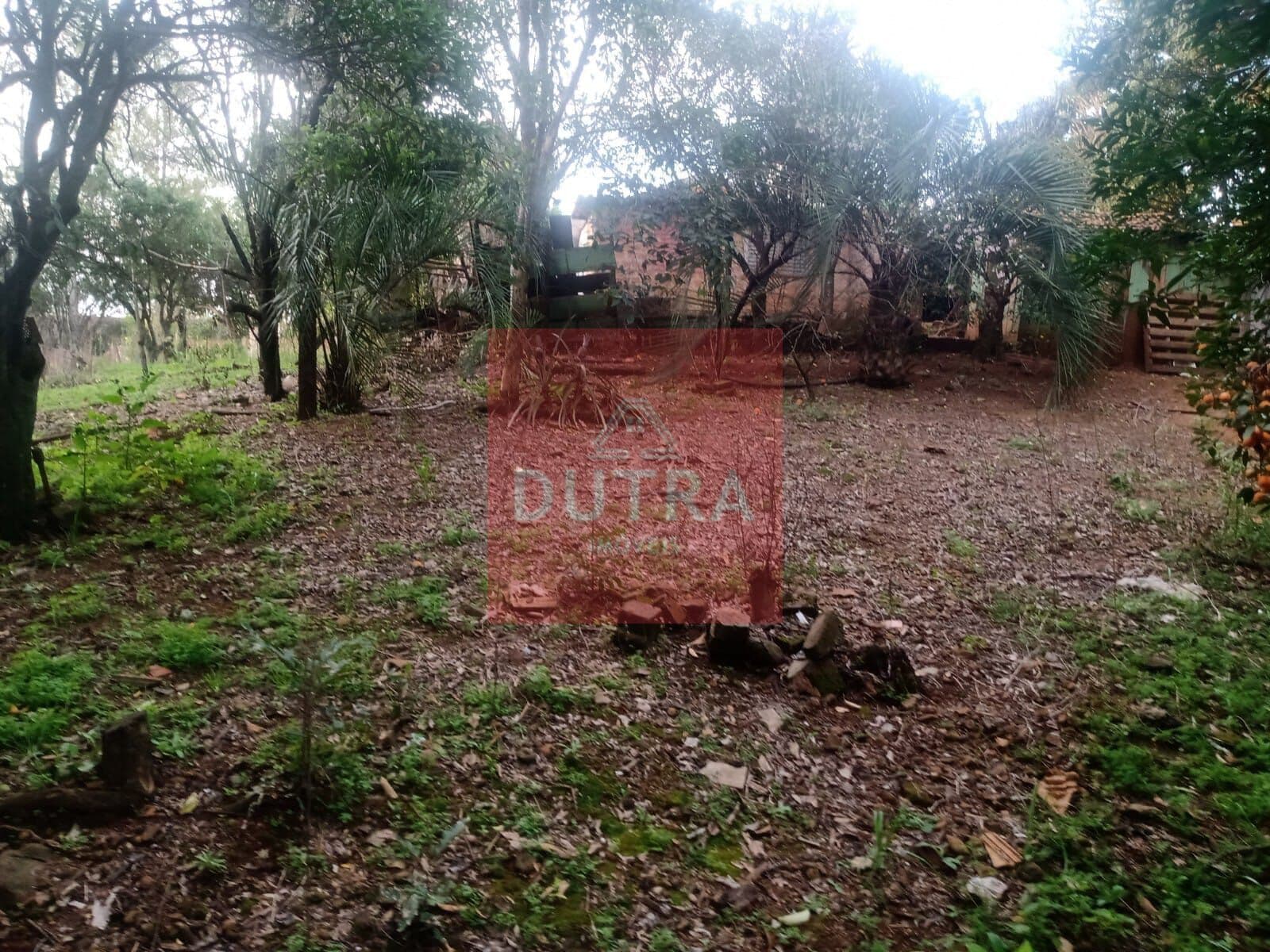 Fazenda/Sítios/Chácaras em Santo Ângelo - Moscom
