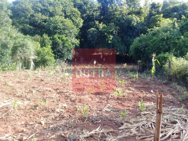 Lote/Terreno em Santo Ângelo - Haller