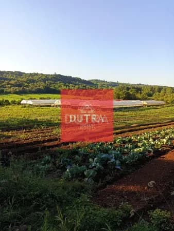 Fazenda/Sítios/Chácaras em Santo Ângelo - Esquina São João