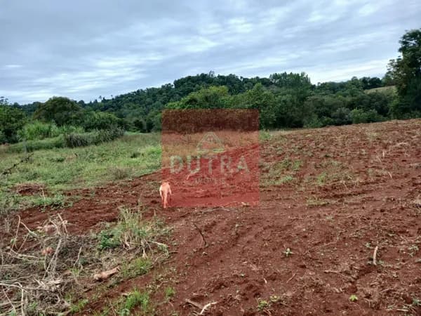 Fazenda/Sítios/Chácaras em Santo Ângelo - ILHA GRANDE