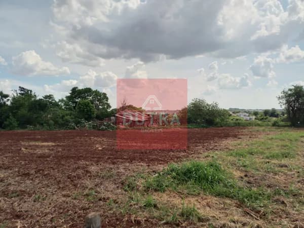 Lote/Terreno em Santo Ângelo - Panazzolo