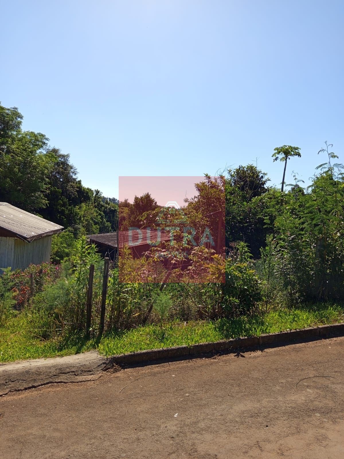 Lote/Terreno em Santo Ângelo - Haller