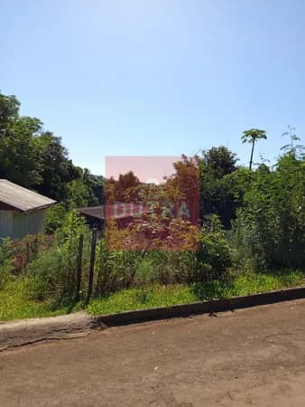 Lote/Terreno em Santo Ângelo - Haller