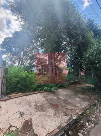 Lote/Terreno em Santo Ângelo - Pippi
