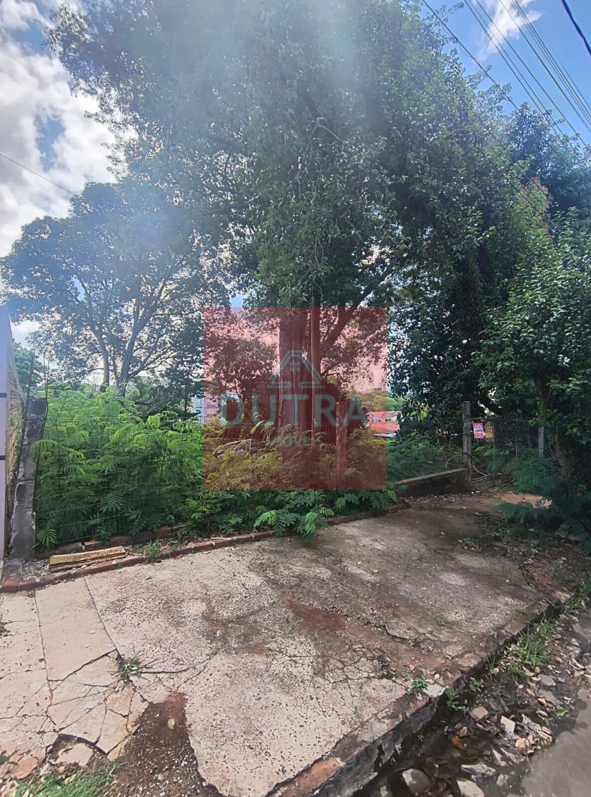 Lote/Terreno em Santo Ângelo - Pippi
