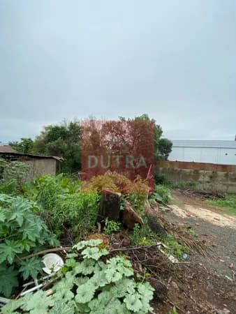 Lote/Terreno em Santo Ângelo - Centro