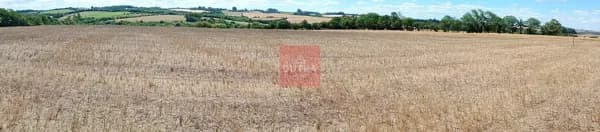 Fazenda/Sítios/Chácaras em São Miguel das Missões - Distrito