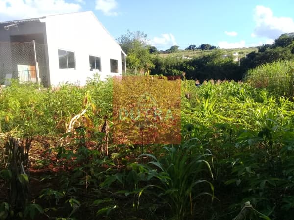 Lote/Terreno em Santo Ângelo - Haller