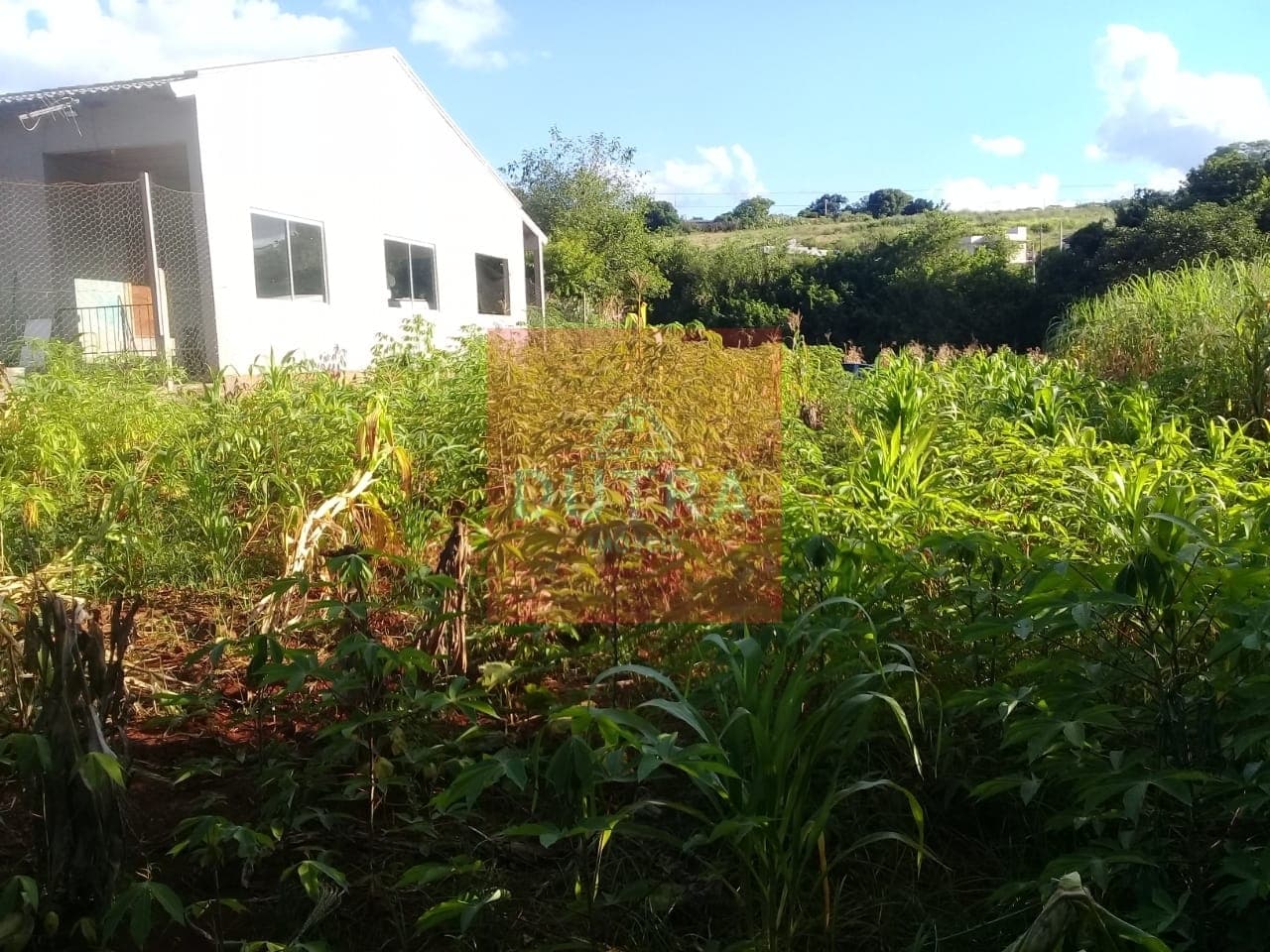 Lote/Terreno em Santo Ângelo - Haller